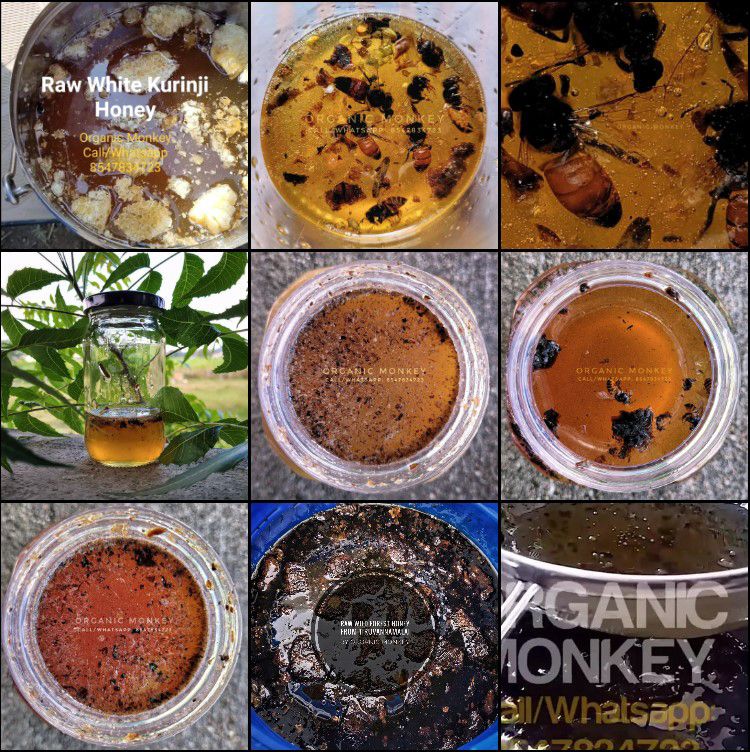 Organic Monkey raw honey collection