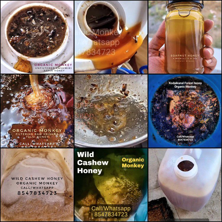 Rows of Organic Monkey honey jars