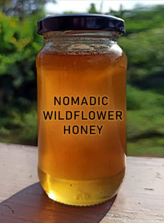 Nomadic Wildflower honey