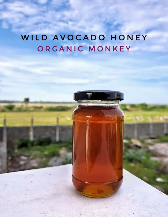 Wild Avocado honey