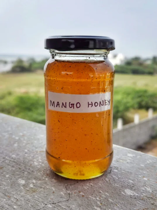 Mango honey